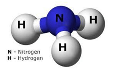 Mô hình phân tử Ammonia và công thức tính khối lượng phân tử