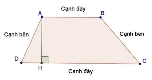 Mô phỏng hình thang tổng quát, một hình dạng thường gặp khi tính diện tích nhà Oggy