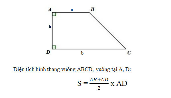 Một hình thang vuông với các kích thước được ghi rõ