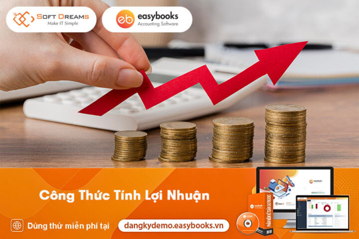 Phân tích công thức tính tổng lợi nhuận hiệu quả