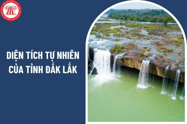 Phong cảnh cao nguyên trù phú với rừng cây và đồi núi, thể hiện diện tích tỉnh Đắk Lắk rộng lớn
