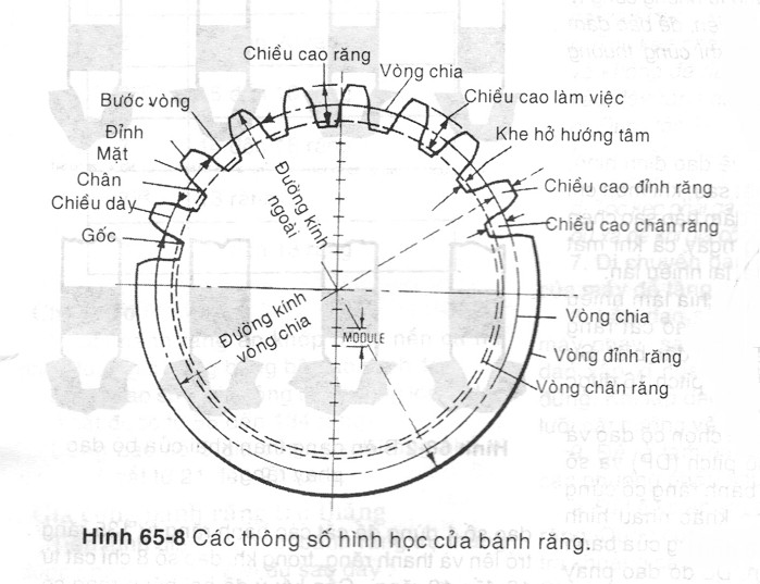 Sơ đồ các thông số và kích thước của bánh răng nghiêng