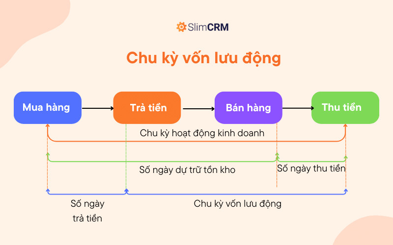 Sơ đồ chu trình vận động của vốn lưu động và dòng tiền trong doanh nghiệp