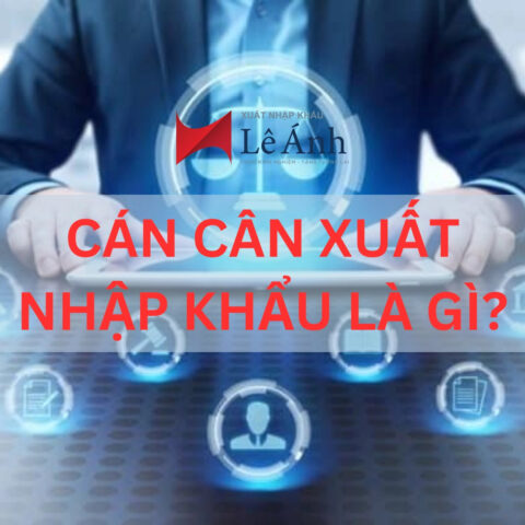 Sơ đồ minh họa cán cân xuất nhập khẩu thể hiện mối quan hệ giữa xuất và nhập khẩu