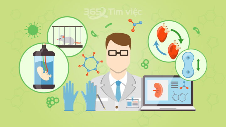Sơ đồ minh họa cấu trúc và thành phần cơ bản của một phương trình hóa học, giúp hiểu rõ khái niệm phương trình hóa học lớp 8.