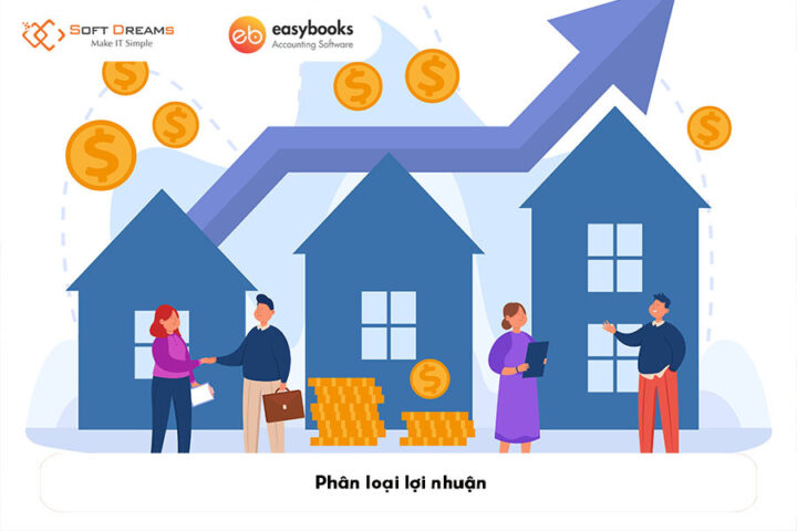 Sơ đồ phân loại các loại lợi nhuận khác nhau trong báo cáo tài chính