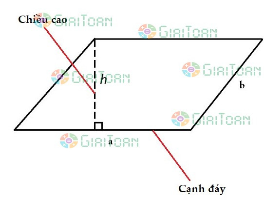 Sơ đồ tính diện tích hình bình hành lớp 5 với đáy và chiều cao