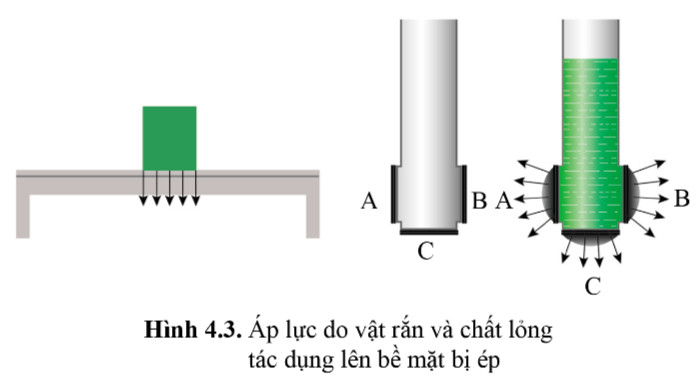 So sánh áp lực do vật rắn và chất lỏng tác dụng lên bề mặt