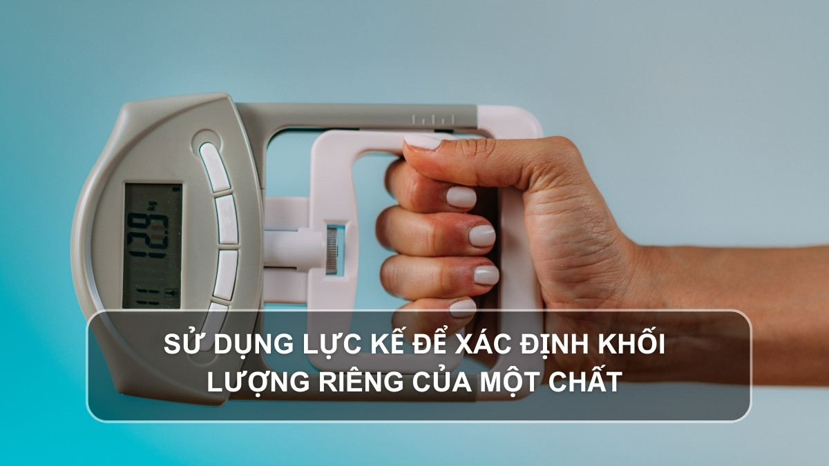 Sử dụng lực kế để xác định trọng lượng