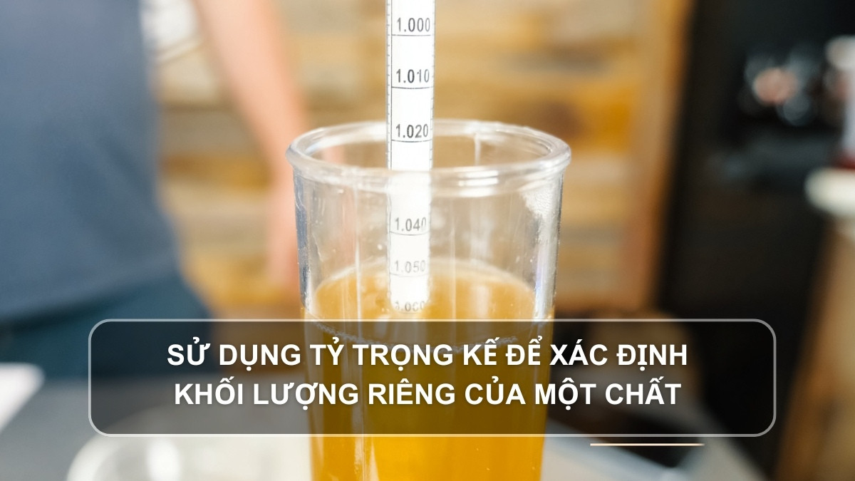 Sử dụng tỷ trọng kế để xác định khối lượng riêng