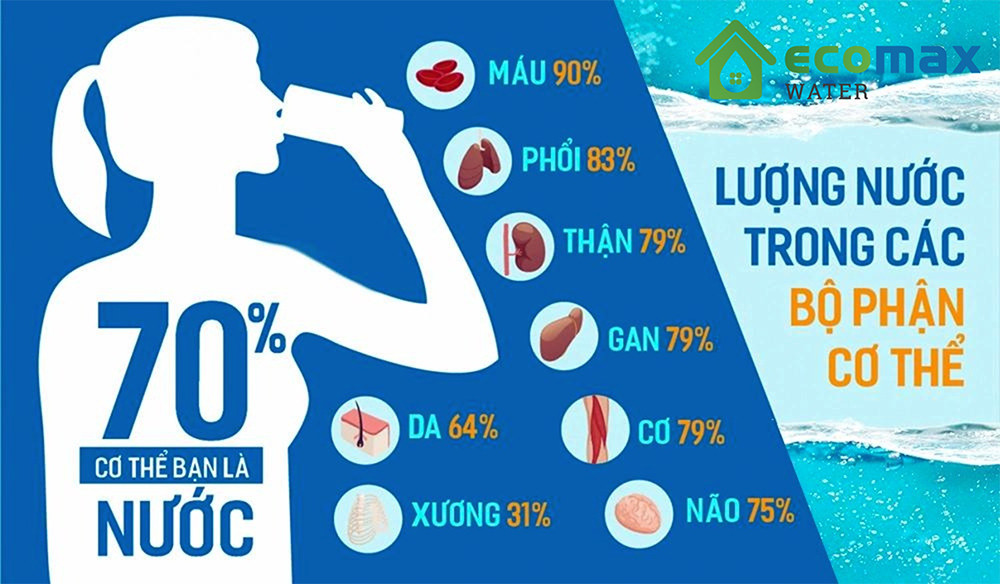 Tầm quan trọng của nước (H2O) đối với cuộc sống và các phương trình hóa học của nước