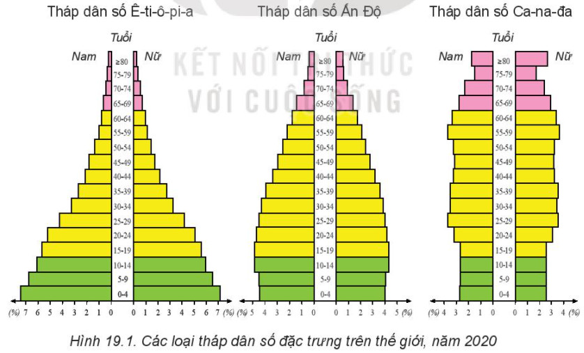 Tháp dân số của Ethiopia, Ấn Độ và Canada năm 2020