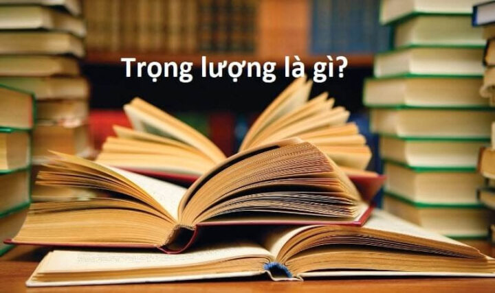 Thí nghiệm đo trọng lượng bằng lực kế lò xo minh họa công thức tính trọng lượng P = mg