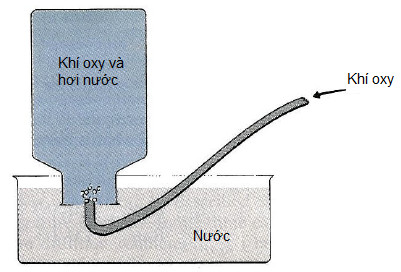 Thu khí oxy qua nước và áp suất riêng phần