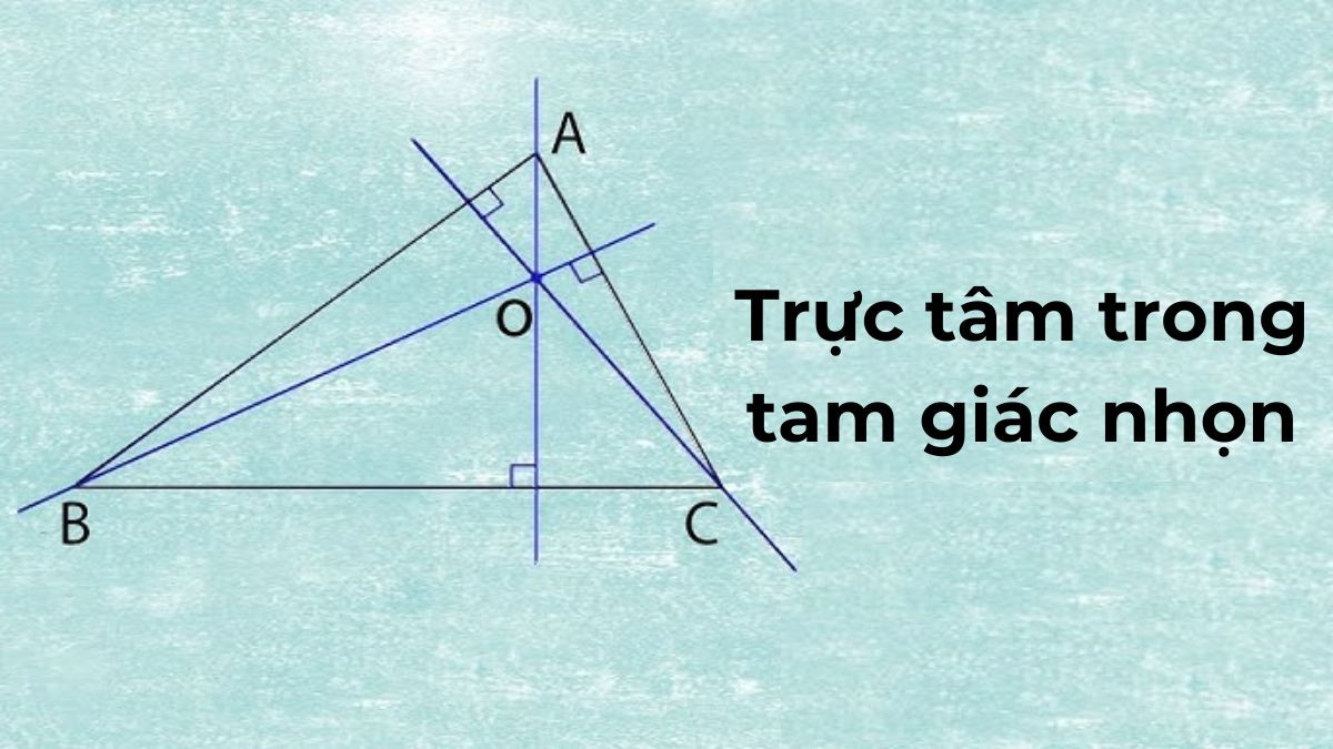 tính chất trực tâm