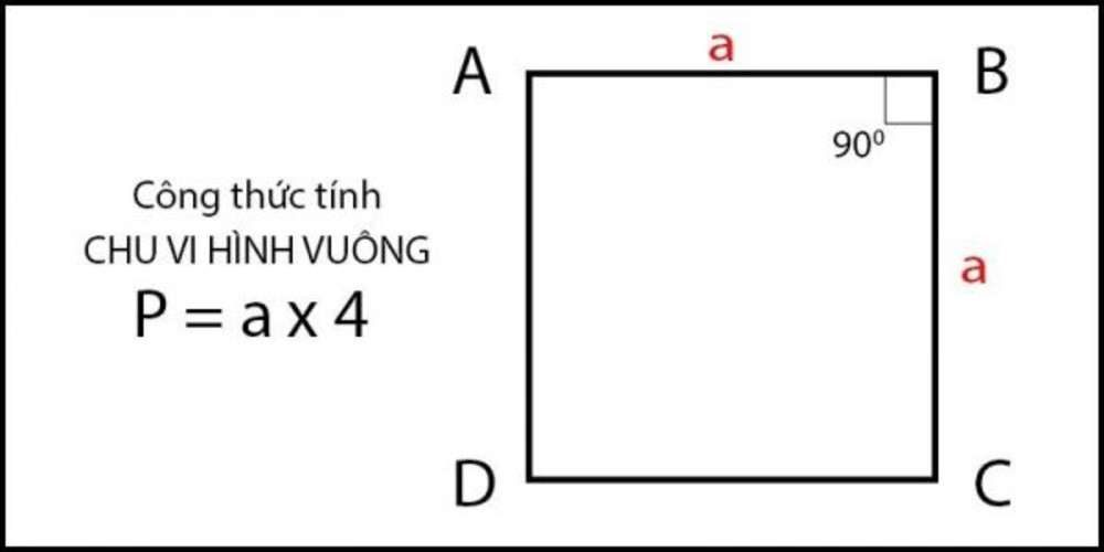 Tính diện tích hình vuông từ chu vi
