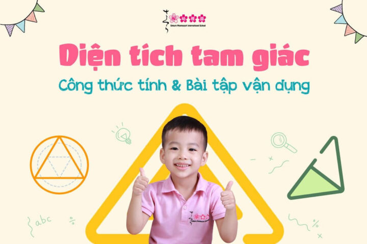 Tổng quan về diện tích các loại hình tam giác