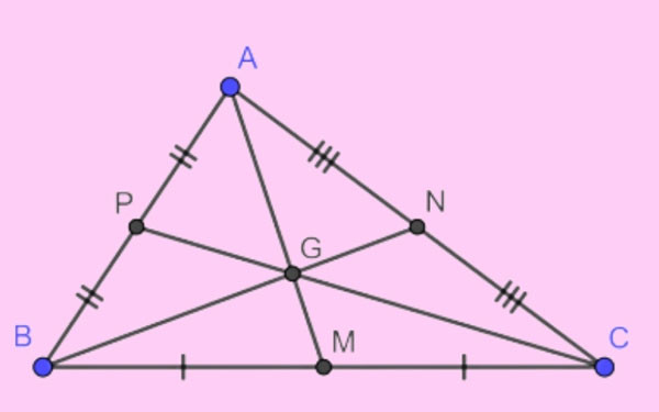 Trọng tâm G chia đường trung tuyến AM theo tỷ lệ 2:1