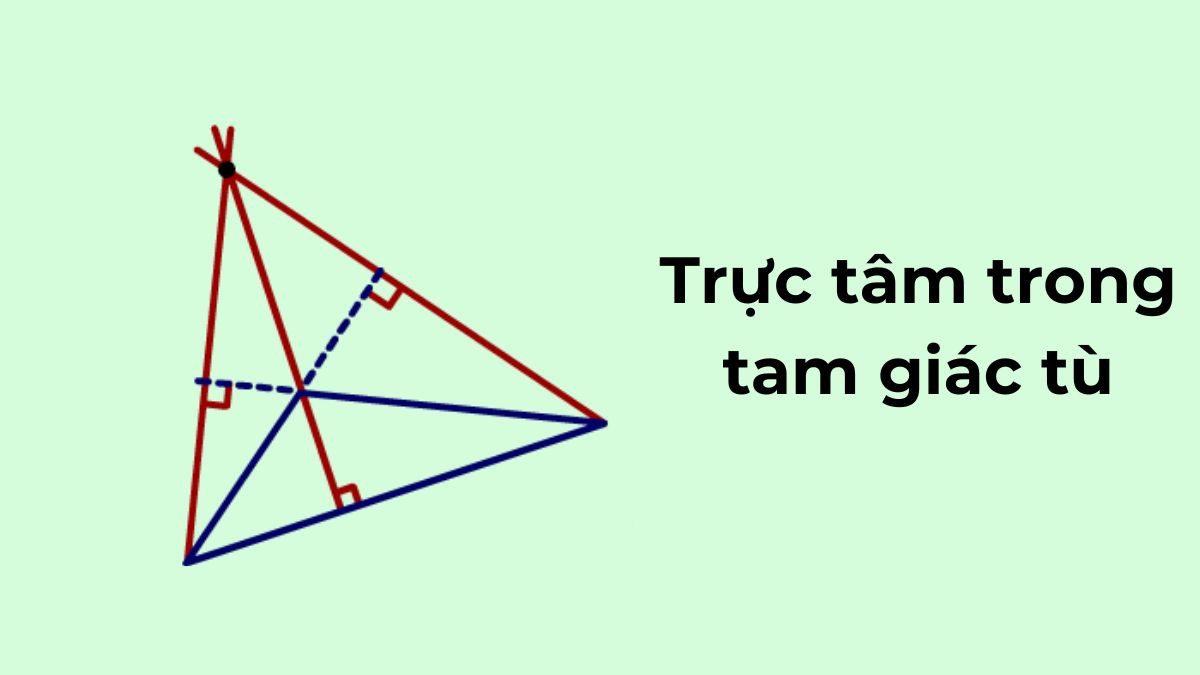trực tâm tam giác tù nằm ngoài