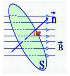 Từ thông dương