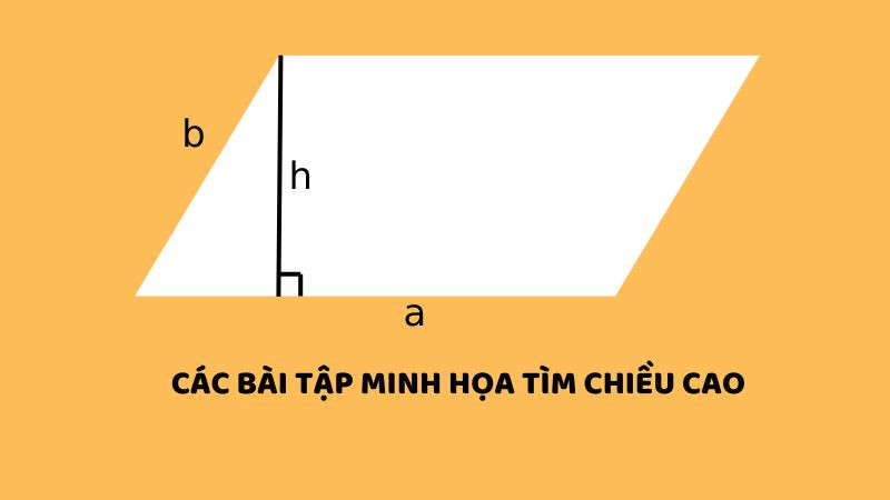 Ví dụ bài tập thực hành tính chu vi hình bình hành lớp 4 và các yếu tố liên quan