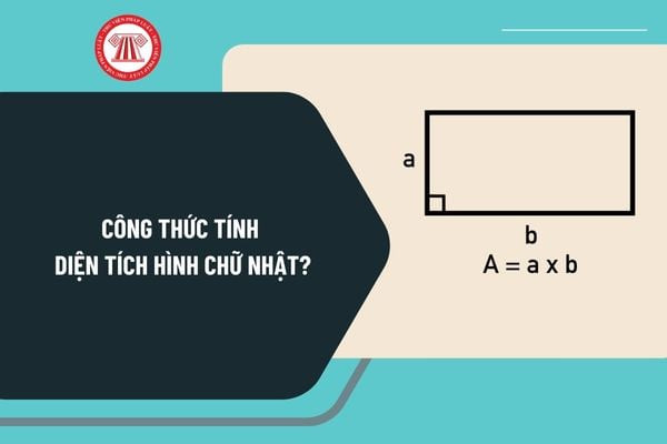 Ví dụ thực hành cách tính diện tích hình thang